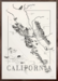 Brushery California 30*40 inkl. valgfri ramme